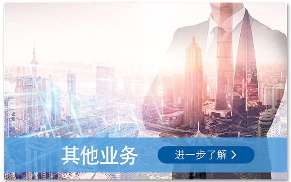其他业务
